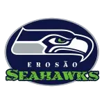 SEAHAWKS ELETRO EROSAO