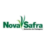 SEMENTES NOVA SAFRA