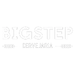 CERVEJA BIGSTEP