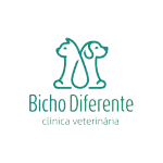 Ícone da CLINICA VETERINARIA BICHO DIFERENTE LTDA