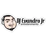 GRUPO DJ EVANDRO JR