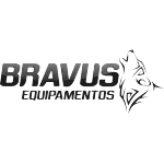 Ícone da BRAVUS EQUIPAMENTOSCOMERCIO DE ARTIGOS ESPORTIVOS LTDA