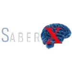 Ícone da SABER X GERENCIAMENTO PROFISSIONAIS LTDA