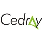 CEDRAYSP COMERCIO E SERVICOS DE GESSO LTDA