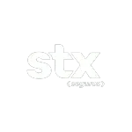 Ícone da STX CORRETORA DE SEGUROS LTDA