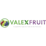 Ícone da COOPERATIVA AGRICOLA VALE DO SAO FRANCISCO VALEXFRUIT