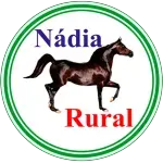 Ícone da NADIA RURAL LTDA