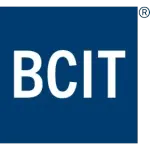 BCIT CONSULTORIA EM TECNOLOGIA DA INFORMACAO