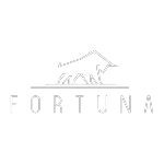 FORTUNA FINANCIAL SERVICES