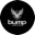 BUMP ENERGY