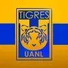 CLUBE DOS TIGRES