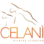 Ícone da CELANI ESCOLA DE PILATES LTDA