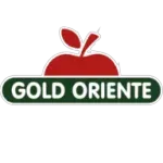 Ícone da GOLD ORIENTE COMERCIO DE FRUTAS LTDA