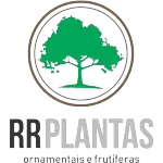 R R PRODUCAO E COMERCIO DE PLANTAS EM GERAL