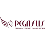 Ícone da PEGASUS DESENVOLVIMENTO E CONSULTORIA LTDA