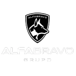 Ícone da ALFA BRAVO MONITORAMENTO LTDA