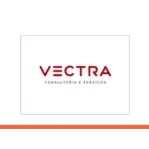 VECTRA CONSULTORIA E SERVICOS LTDA