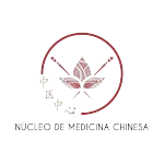 NUCLEO DE MEDICINA CHINESA LTDA