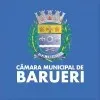 Ícone da CAMARA MUNICIPAL DE BARUERI