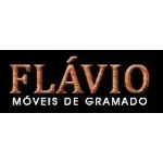 FLAVIO MOVEIS