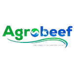 GROBEEF AGRONEGOCIOS