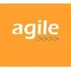 Ícone da AGILE EMPREENDIMENTOS E SERVICOS LTDA