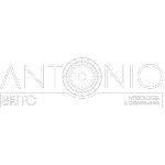 Ícone da ANTONIO DE BRITO NETO