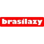 Ícone da BRASILAZY PRODUCAO DE ESTOFADOS LTDA