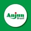 Ícone da ANJUN BRASIL LOGISTICA INTELIGENTE LTDA