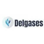 DEL GASES