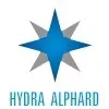 Ícone da HYDRA ALPHARD MANUTENCAO INDUSTRIAL LTDA