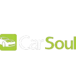 CAR SOUL SERVICOS DE VEICULOS AUTOMOTIVOS LTDA