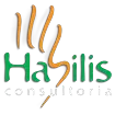 HABILIS CONSULTORIA