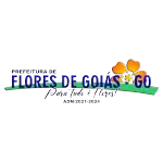 FUNDO MUNICIPAL DE SAUDE DE FLORES DE GOIAS