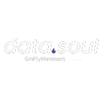 Ícone da DATA SOUL LTDA