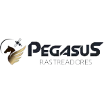 Ícone da PEGASUS RASTREADORES LTDA