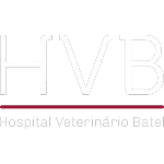 Ícone da HV BATEL MEDICINA PARA ANIMAIS DE COMPANHIA LTDA