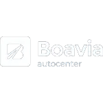 Ícone da BOAVIA SERVICOS E MANUTENCAO DE VEICULOS LTDA