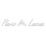 FLAVIO MARCOS LUCCAS