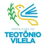 FUNDO MUNICIPAL DE SAUDE MUNICIPIO DE TEOTONIO VILELA