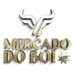 MERCADO DO BOI MS