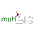 MULTISIG GEOPROCESSAMENTO LTDA