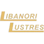 Ícone da LIBANORI LUSTRES LTDA