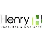 HENRY CONSULTORIA E PLANEJAMENTO LIMITADA