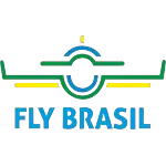 Ícone da FLYBRASIL SERVICOS AUXILIARES TRANSPORTE AEREO LTDA