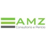 AMZ PERICIA CONTABIL LTDA