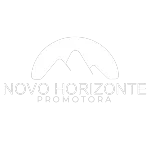 Ícone da NOVO HORIZONTE PROMOTORA LTDA