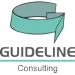 GUIDELINE DO BRASIL INVESTIMENTOS  CONSULTORIA SS LTDA