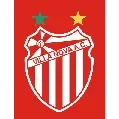 Ícone da VILLA NOVA ATLETICO CLUBE