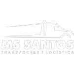 M S SANTOS TRANSPORTE E LOGISTICA